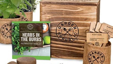 8 Best Gardening Gifts for Her – Gardening Gifts to Impress Ladies